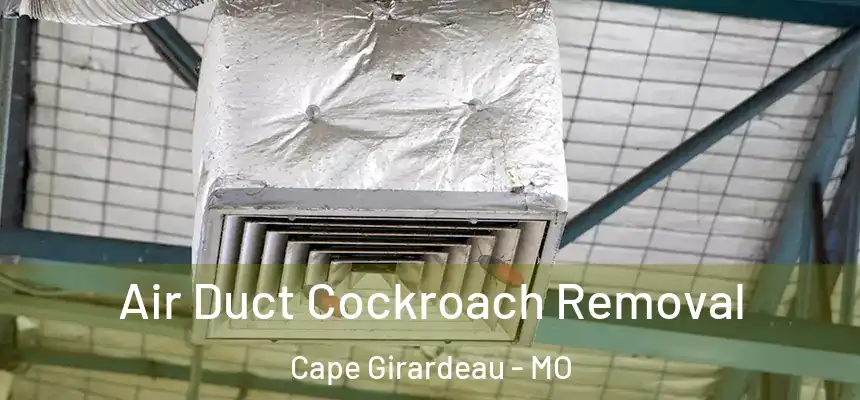 Air Duct Cockroach Removal Cape Girardeau - MO