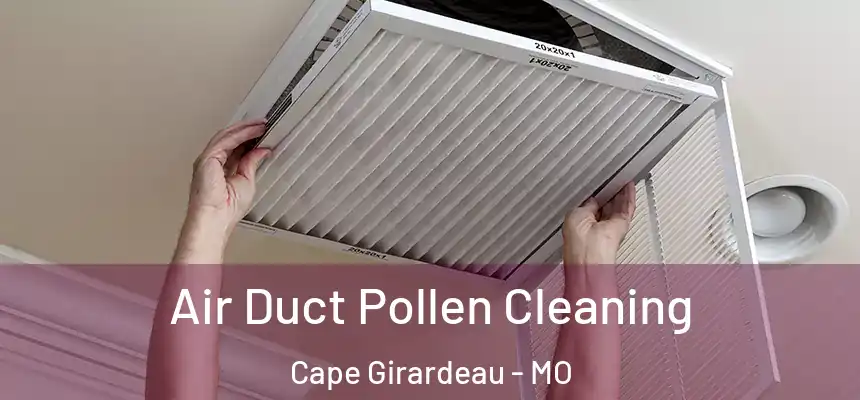 Air Duct Pollen Cleaning Cape Girardeau - MO