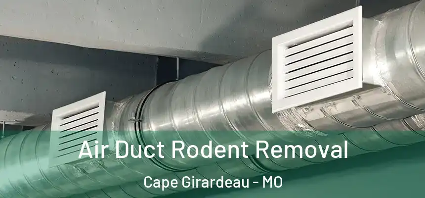 Air Duct Rodent Removal Cape Girardeau - MO