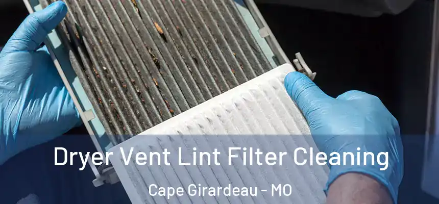 Dryer Vent Lint Filter Cleaning Cape Girardeau - MO
