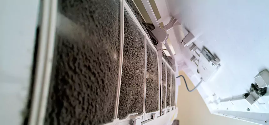 Preventive Air Duct Bacteria Removal in Cape Girardeau