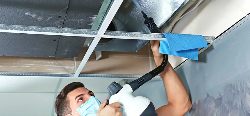 Our Air Duct Rodent Removal Services in Cape Girardeau, MO