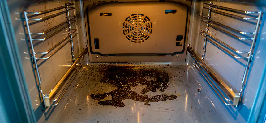 Our Dryer Vent Mold Cleaning Services in Cape Girardeau, MO