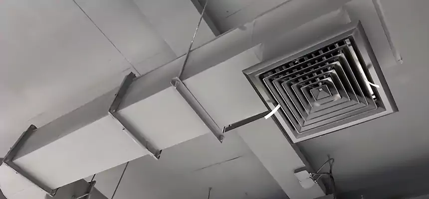 Our Pest Removal From Ducts Services in Cape Girardeau, MO