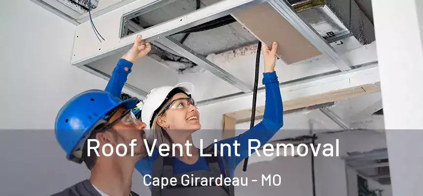 Roof Vent Lint Removal Cape Girardeau - MO