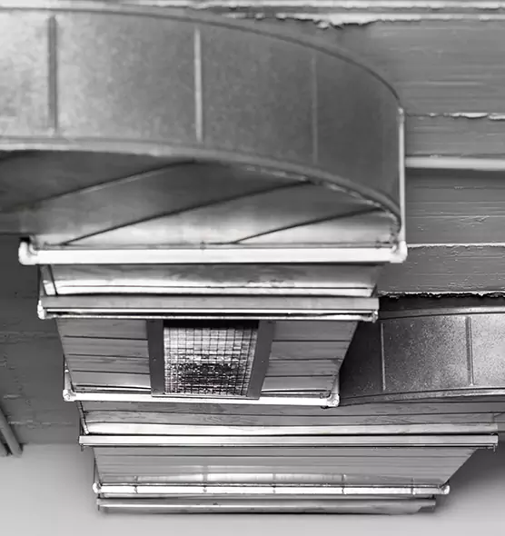 Professional Air Duct Pest Removal in Cape Girardeau, MO