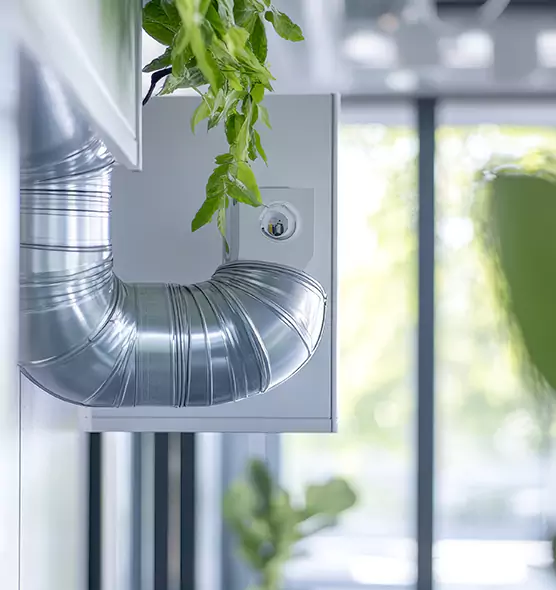 Professional Eco-Safe Dryer Vent Cleaning in Cape Girardeau, MO