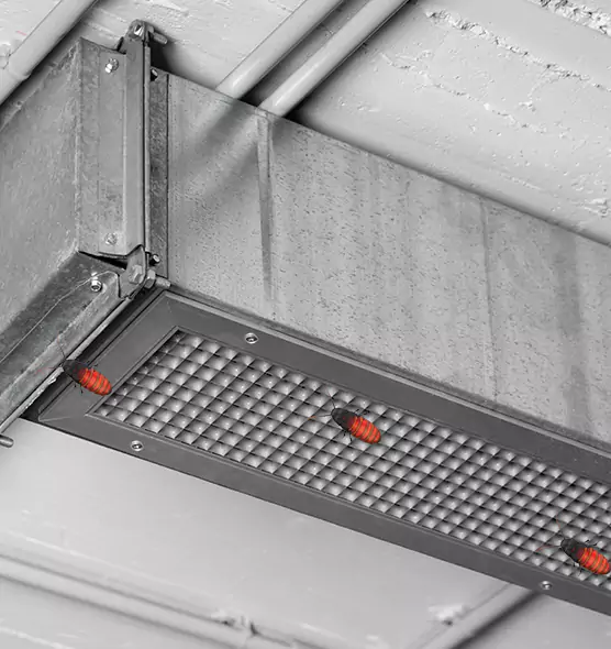 Affordable Insect Removal from Air Ducts in Cape Girardeau, MO