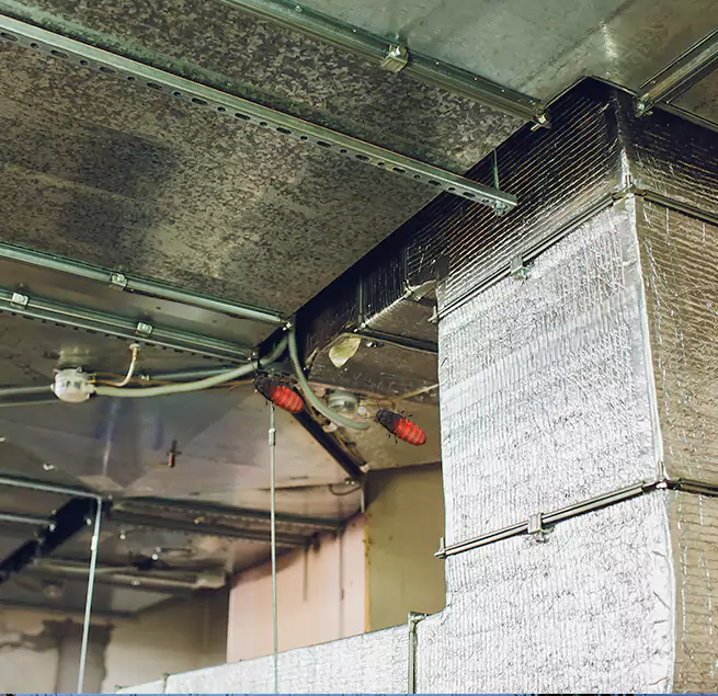 Why Homeowners & Businesses Trust Us in Cape Girardeau, MO?