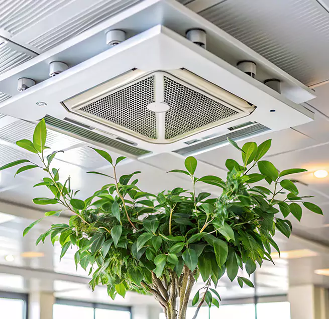 Why Homeowners & Businesses Trust Us in Cape Girardeau, MO