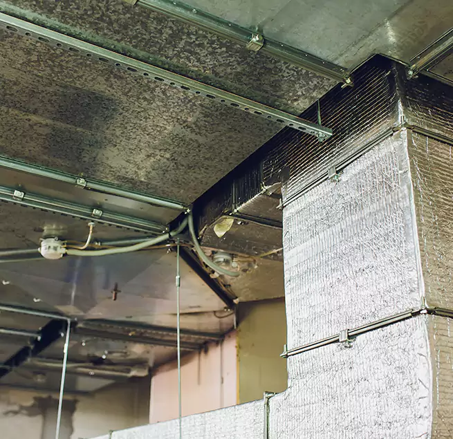 Why Homeowners & Businesses Trust Us in Cape Girardeau, MO?